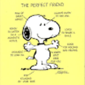 Meet your Posher, Wayne